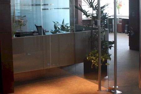 portfolio img 1